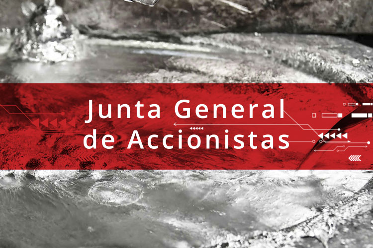 Junta General de Accionistas 2019